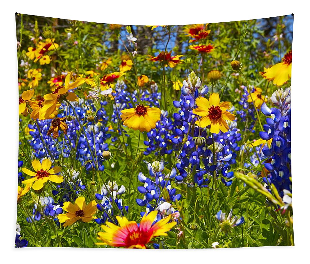 Bandera Tapestry featuring the photograph Texas wildflowers by John Babis
