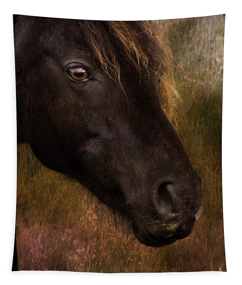 Pony Tapestry featuring the photograph that Wild Look by Ang El
