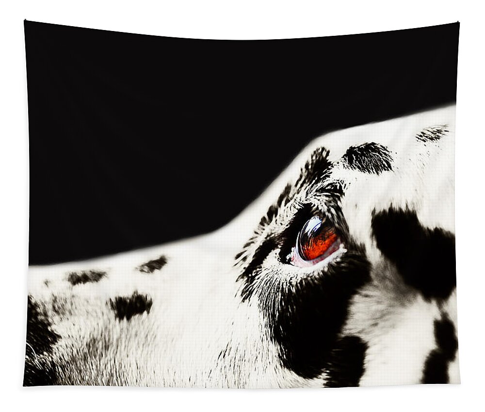 Dalmation Tapestry featuring the photograph The Amber Eye. Kokkie. Dalmatian Dog by Jenny Rainbow