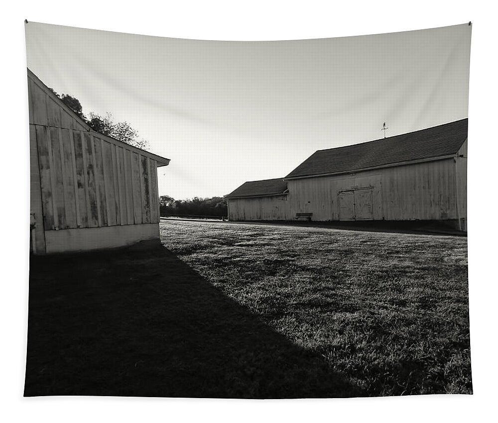 Barn Tapestry featuring the photograph The Barns by Cathy Anderson