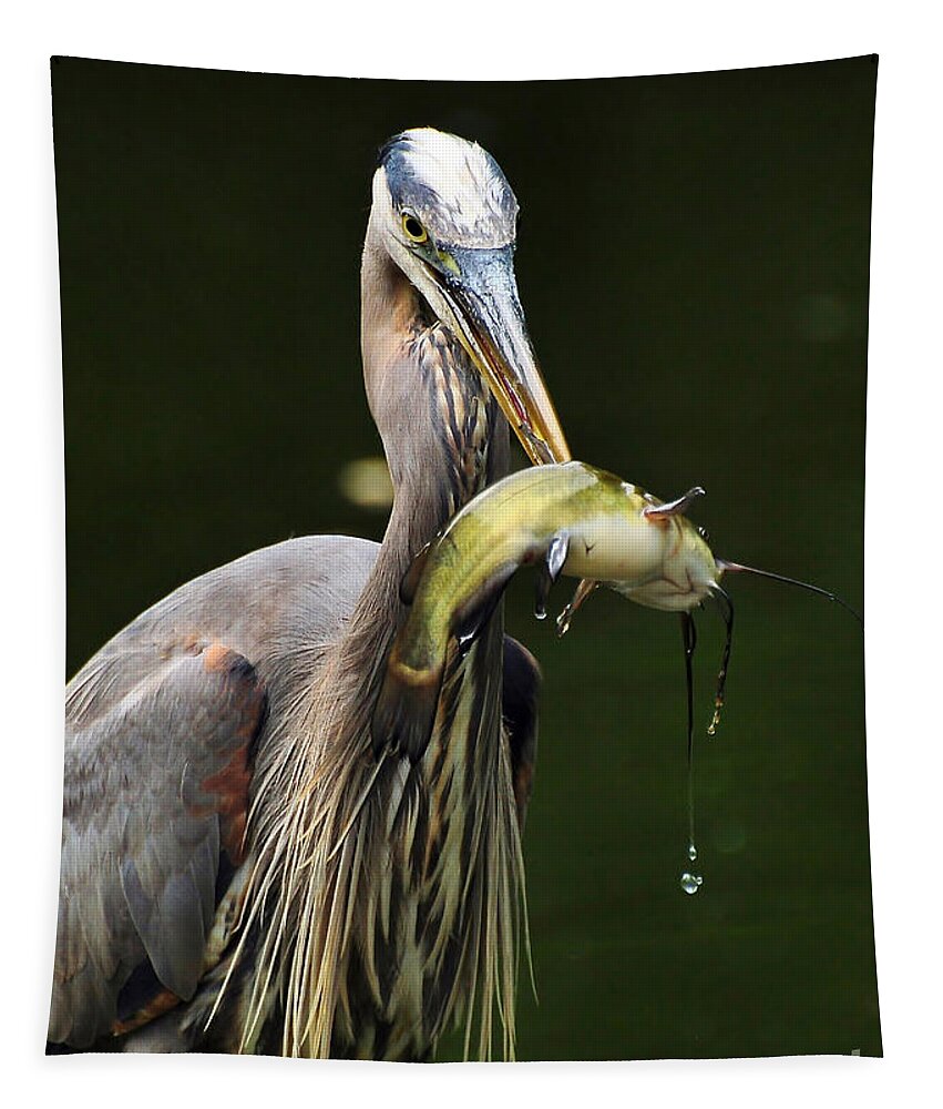 Great Blue Heron Tapestry featuring the photograph The Big Catch by Kathy Baccari