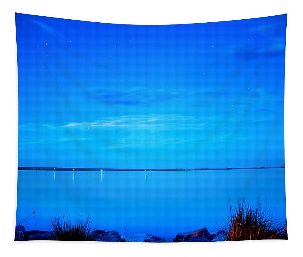 Blue Tapestry featuring the photograph The Blue Hour by James BO Insogna
