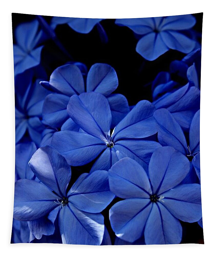 Plumbago Tapestry featuring the photograph The Blues by Clare Bevan