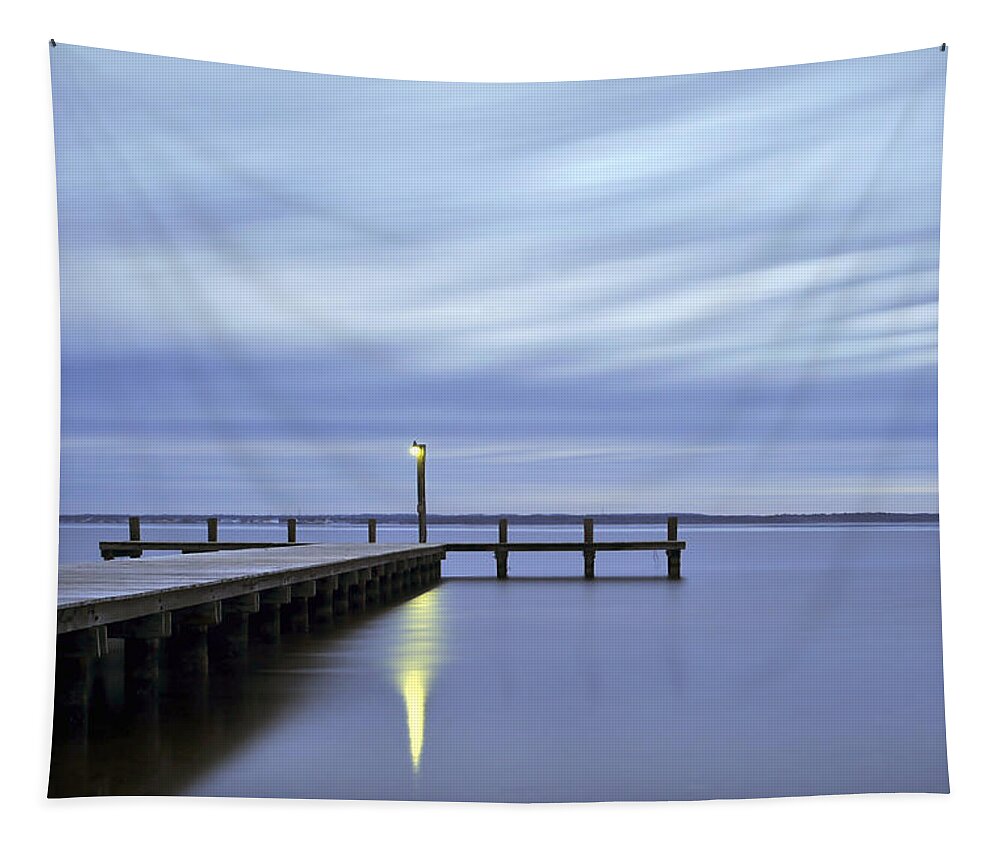 The Blues Tapestry featuring the photograph The Blues Lavallette New Jersey by Terry DeLuco