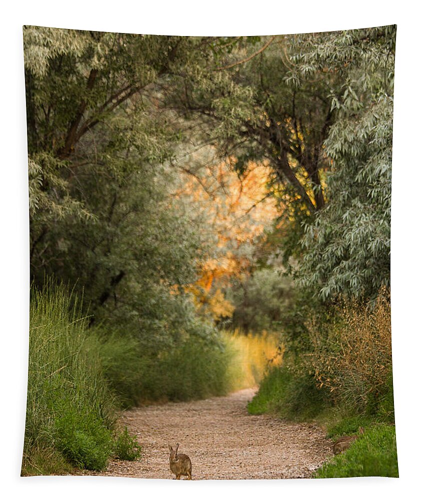 Bunny Tapestry featuring the photograph The Bunny Trail by Hermes Fine Art