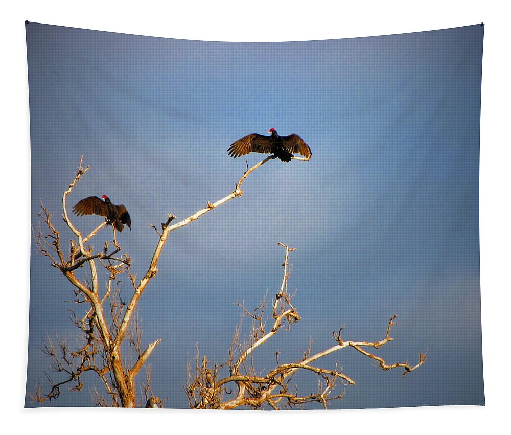 Buzzard Tapestry featuring the photograph The Buzzard Roost by Joyce Dickens