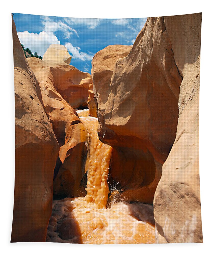 Slot Canyons Tapestry featuring the photograph The Red Clay Faces of Willis Creek 2 by Joe Schofield