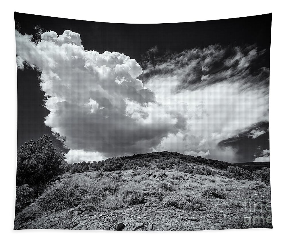 Black And White Photography Tapestry featuring the photograph The Cloud by Jennifer Magallon