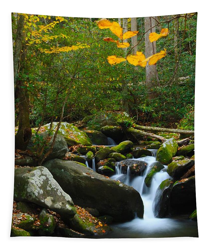 Art Prints Tapestry featuring the photograph The Colors of Autumn by Nunweiler Photography