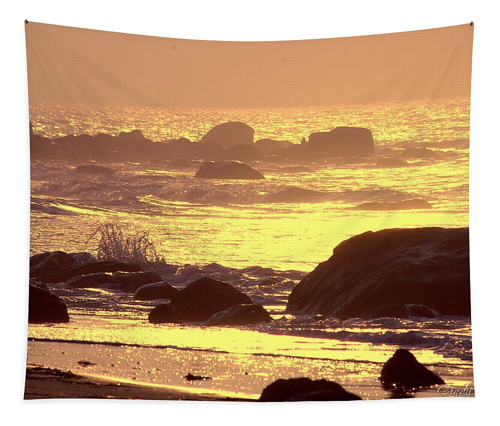Dawn Tapestry featuring the photograph The Dawn is Breaking by Cindy Greenstein