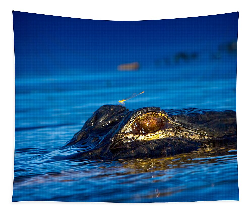 Alligator Tapestry featuring the photograph The Dragon And The Dragonfly II by Mark Andrew Thomas