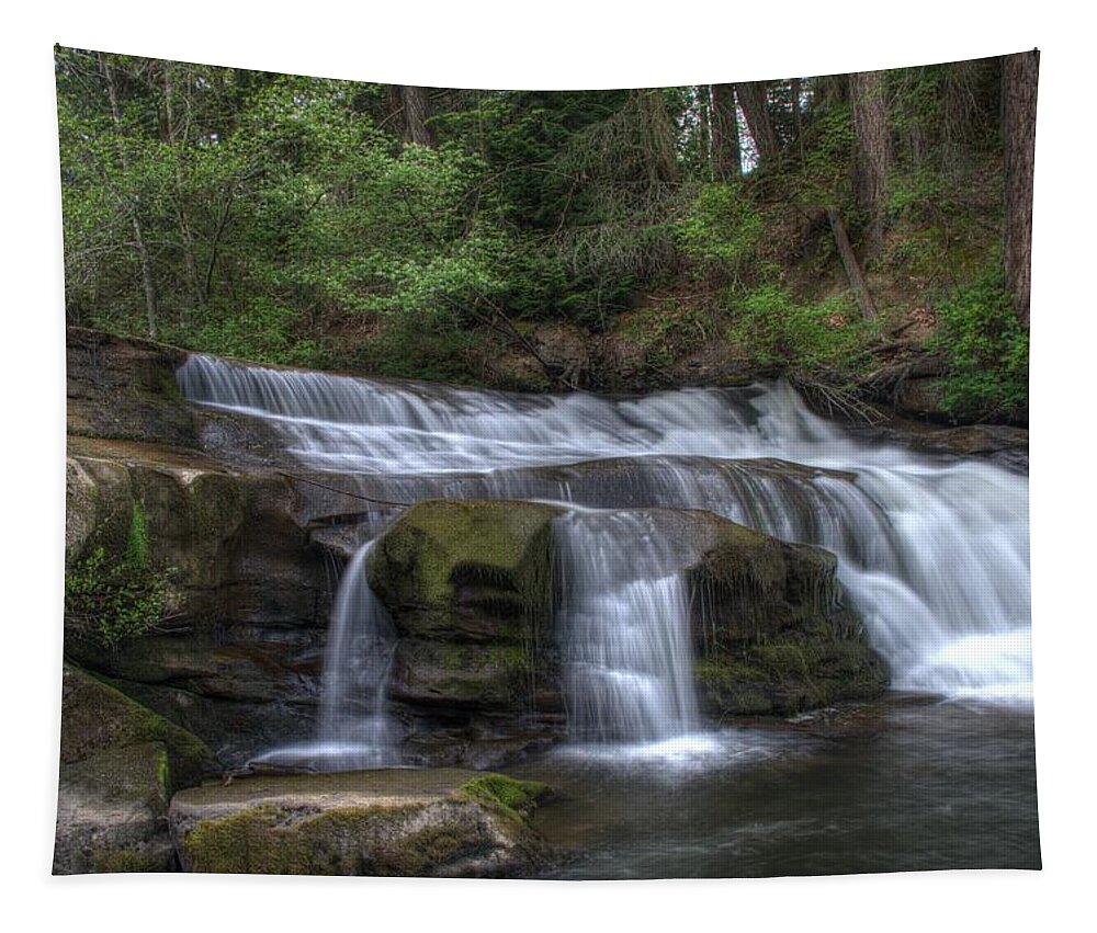 Falls Tapestry featuring the photograph The Falls at Bowen Park by Kathy Paynter