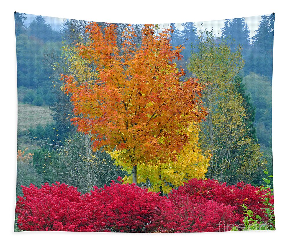 Autumn Tapestry featuring the photograph The Flame by Kirt Tisdale