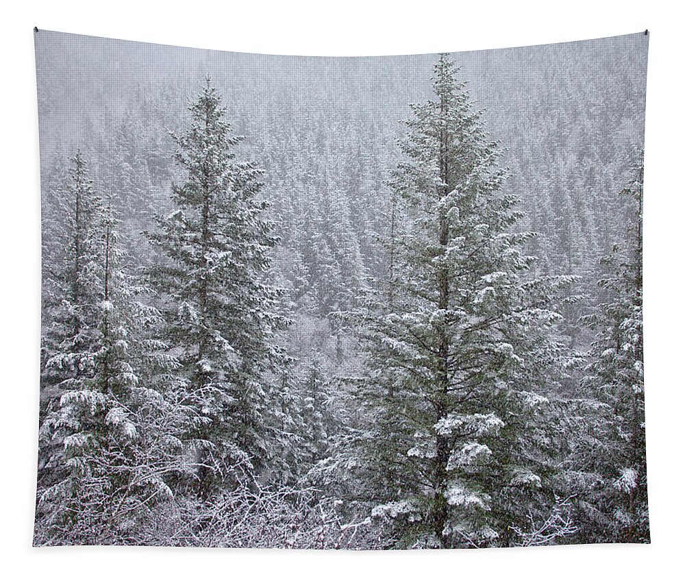  River Tapestry featuring the photograph The Frozen Forest by Darren White