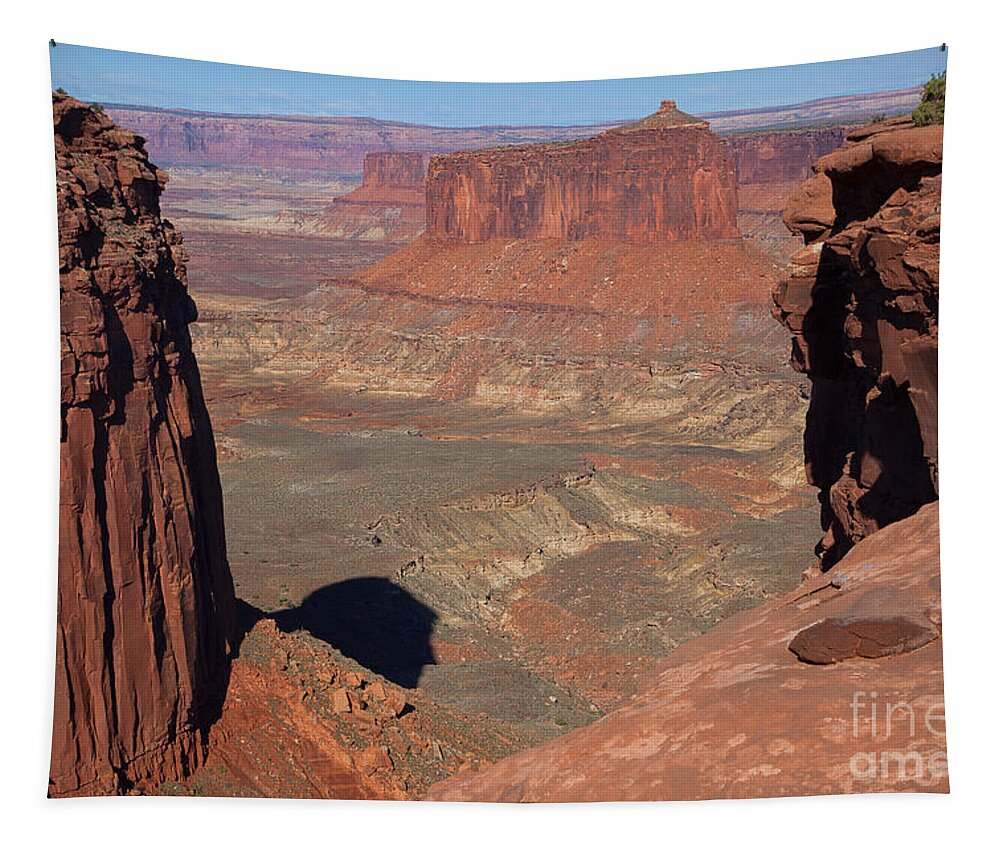 Canyonlands Tapestry featuring the photograph His Eye is on the Sparrow by Jim Garrison