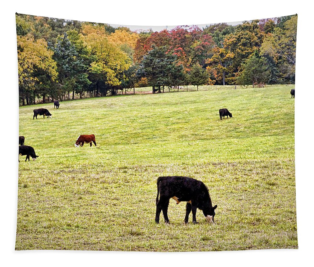 Cattle Tapestry featuring the photograph The Grounds Crew by Cricket Hackmann