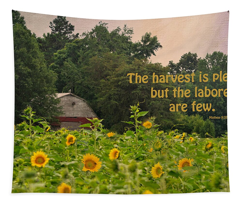 Sunflower Field Tapestry featuring the photograph The Harvest Is Plentiful by Sandi OReilly