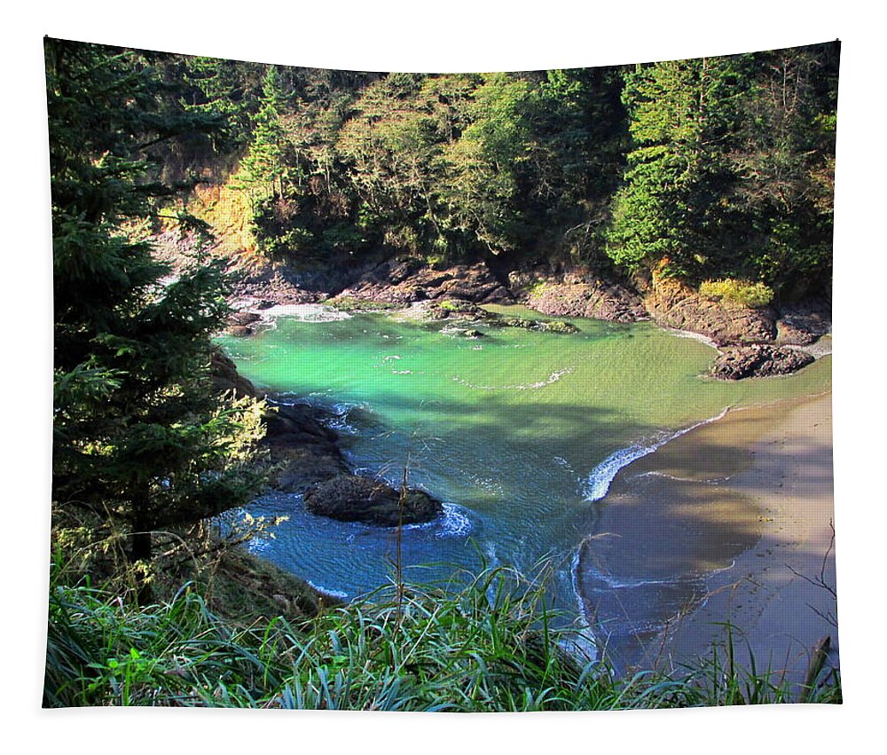 Cove Tapestry featuring the photograph The Hidden Cove by Joyce Dickens