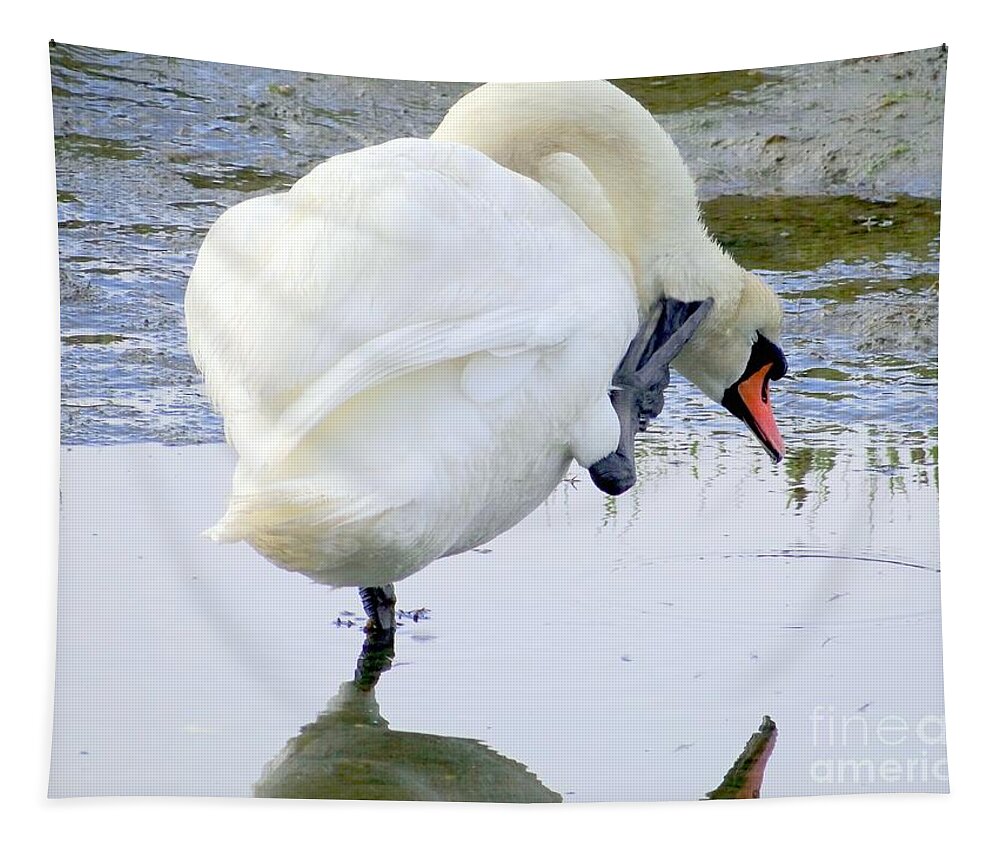 Swan Tapestry featuring the photograph The Itch by Ed Weidman