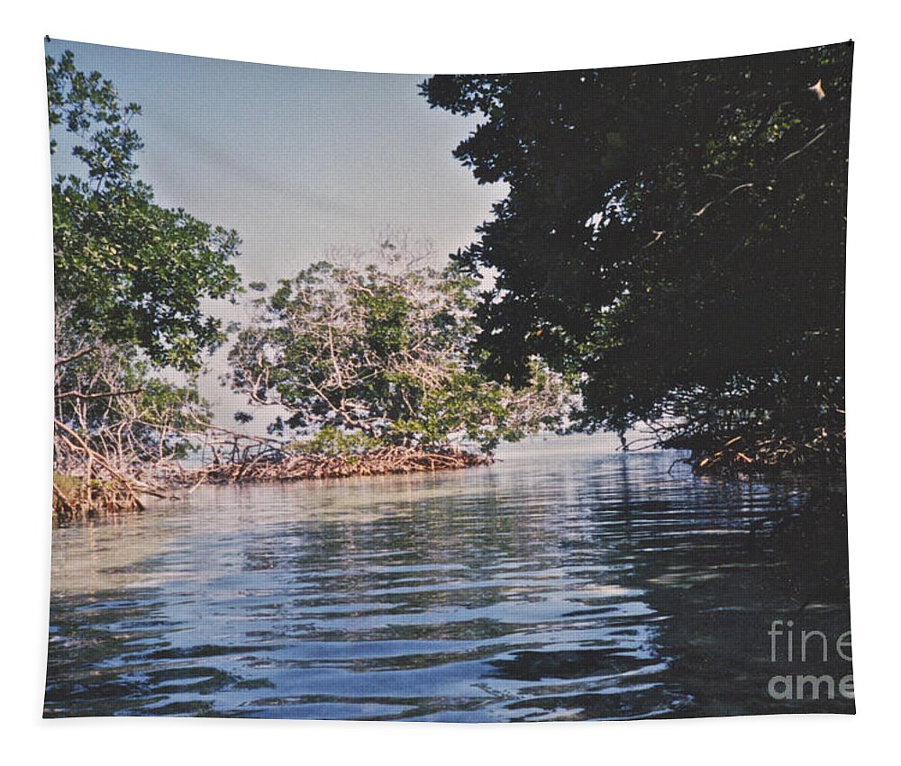Belize Tapestry featuring the photograph The Lagoon by William Norton