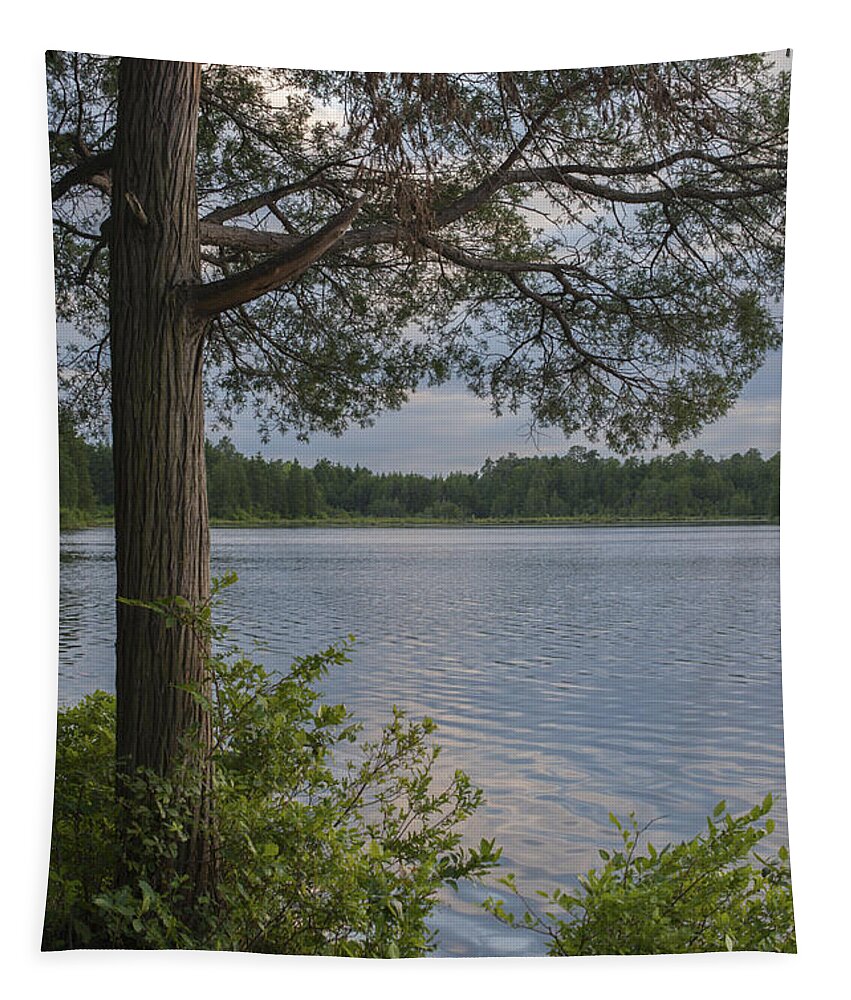 The Lake Lakehurst New Jersey Tapestry featuring the photograph The Lake Lakehurst New Jersey by Terry DeLuco