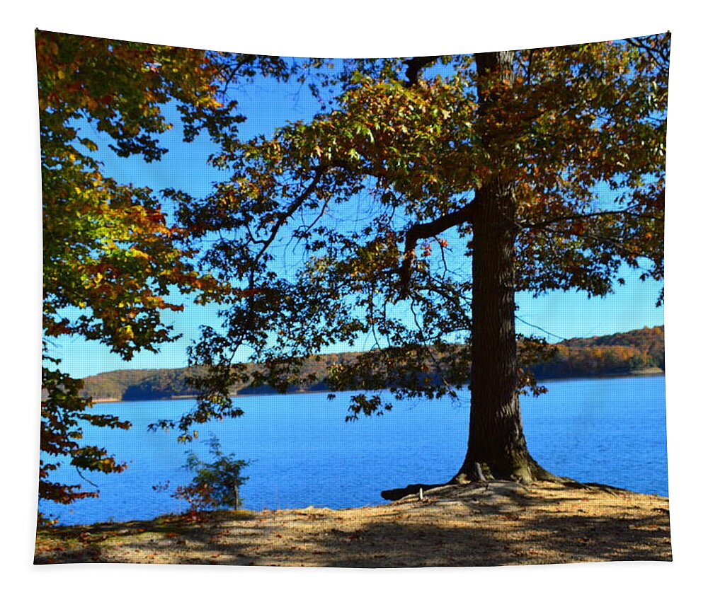 Autumn Trees Tapestry featuring the photograph Autumn Trees on Blue Lake by Stacie Siemsen