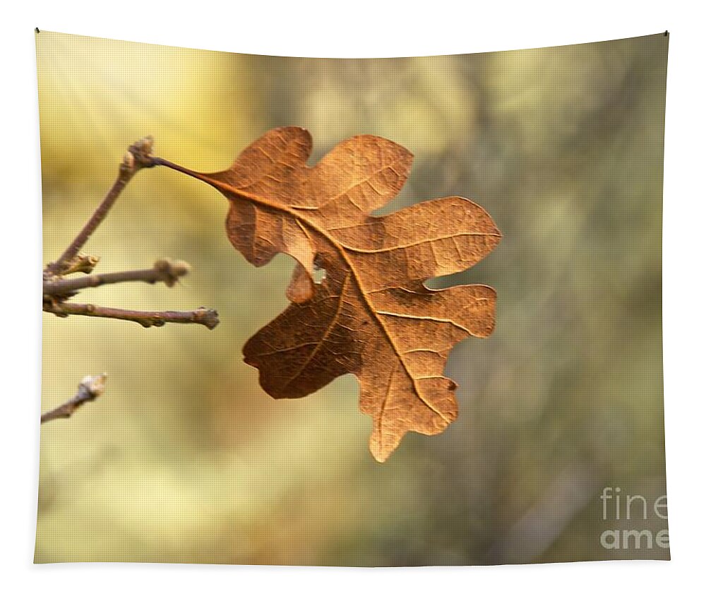 Photography Tapestry featuring the photograph The Last Leaf by Sean Griffin