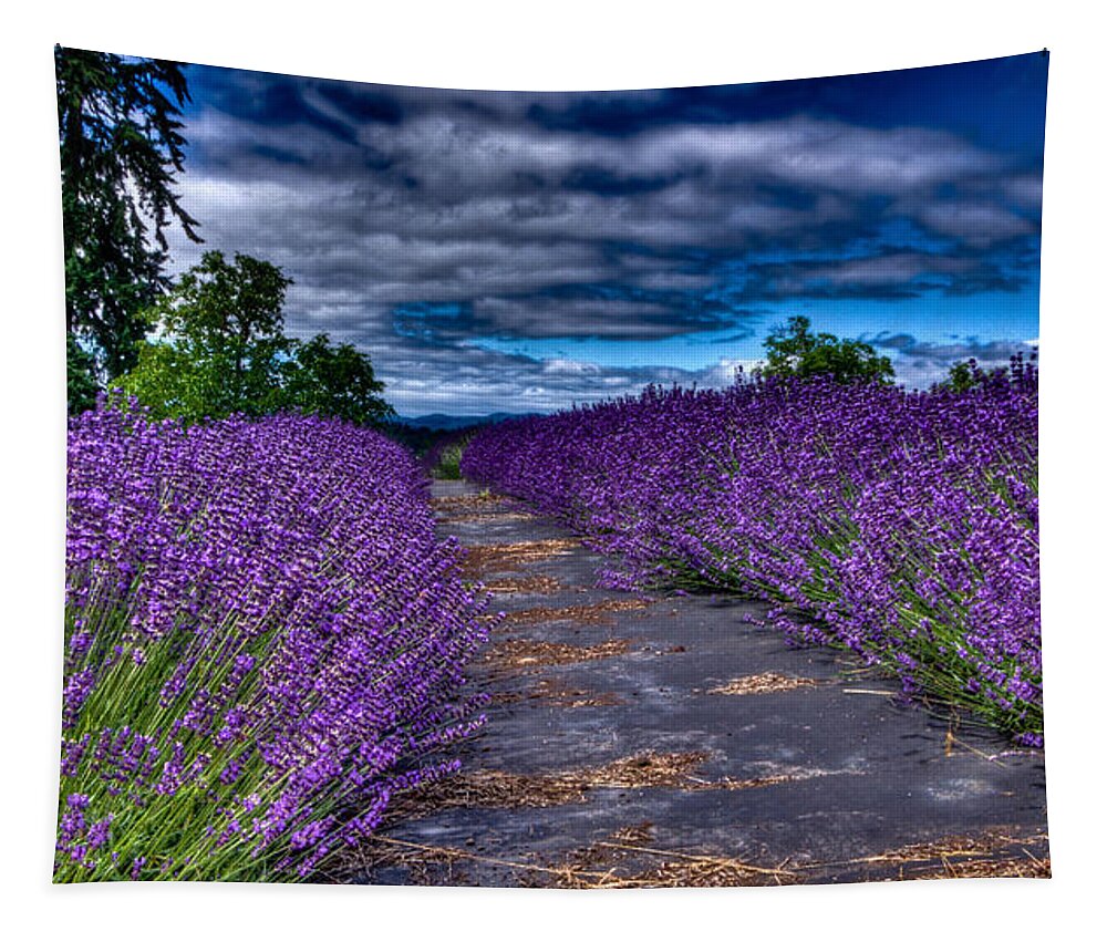 Lavender Farms Tapestry featuring the photograph The Lavender Field by Thom Zehrfeld
