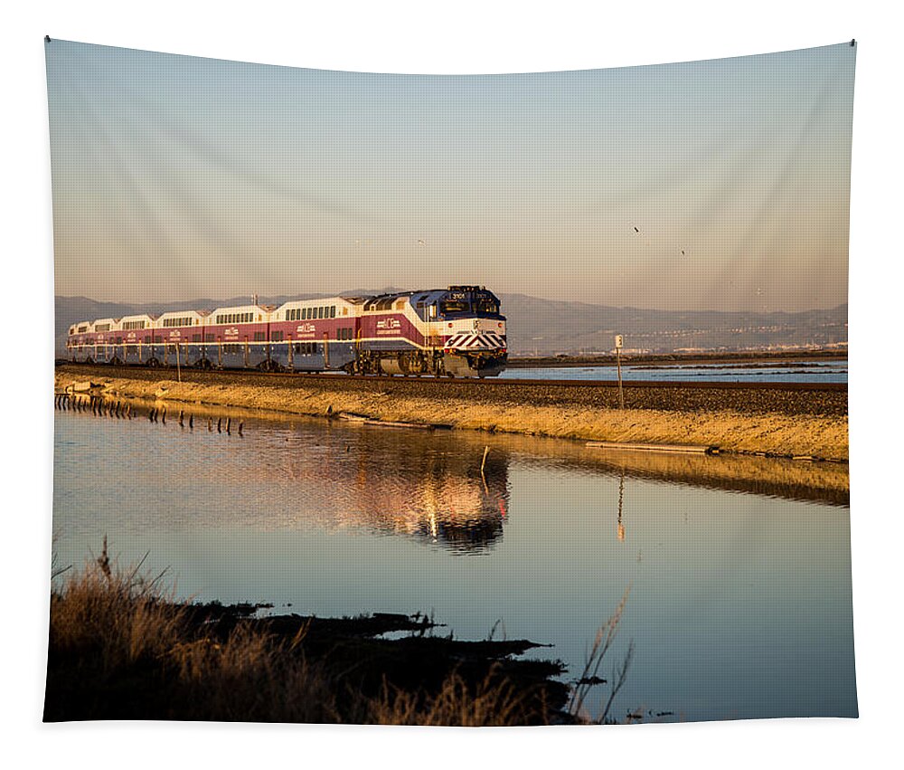 Train Tapestry featuring the photograph The Long Commute by Alex Lapidus