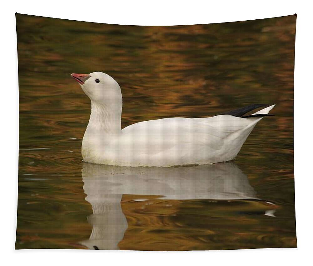 Snow Geese Tapestry featuring the photograph The Lovely Snow by Amy Gallagher