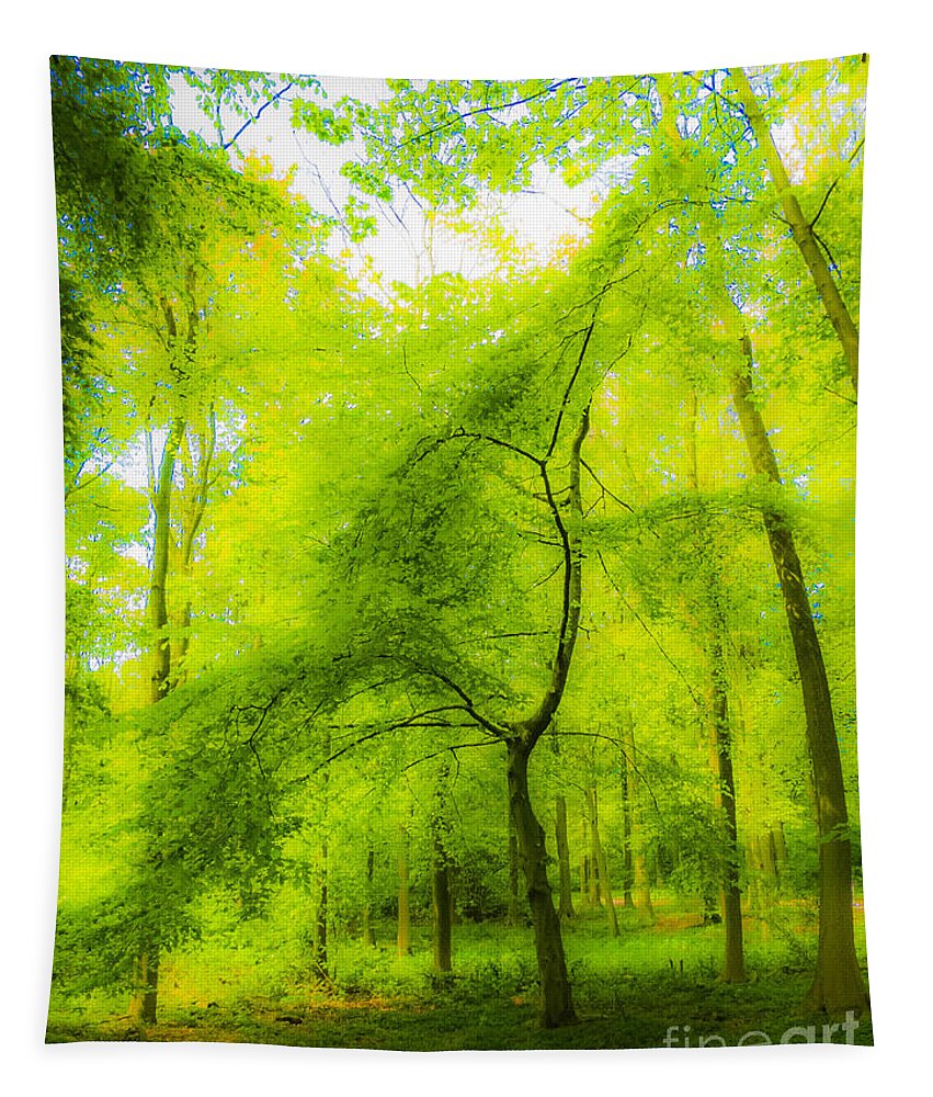 The Magic Forest Tapestry featuring the photograph The Magic Forest-04 by Casper Cammeraat