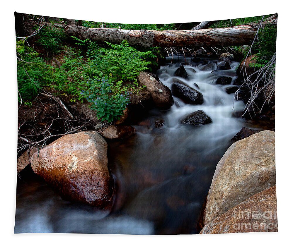 Rivers & Streams Tapestry featuring the photograph The Natural Bridge by Jim Garrison