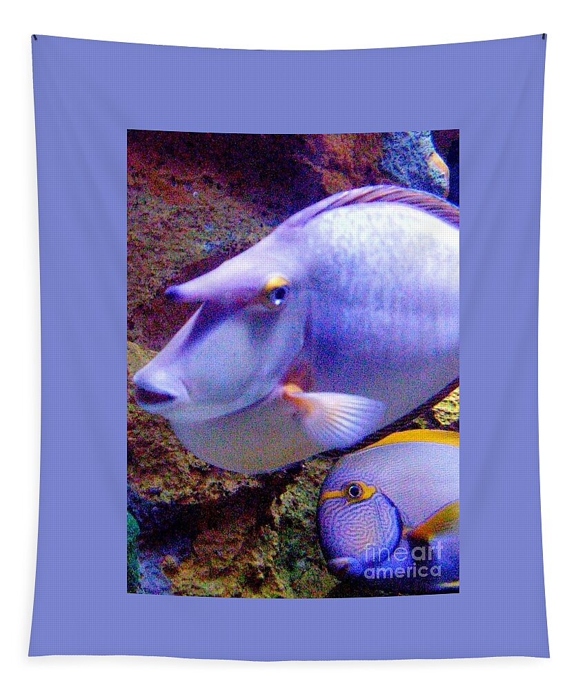 Fish Tapestry featuring the photograph The Odd Couple of the Aquarium by Barbie Corbett-Newmin