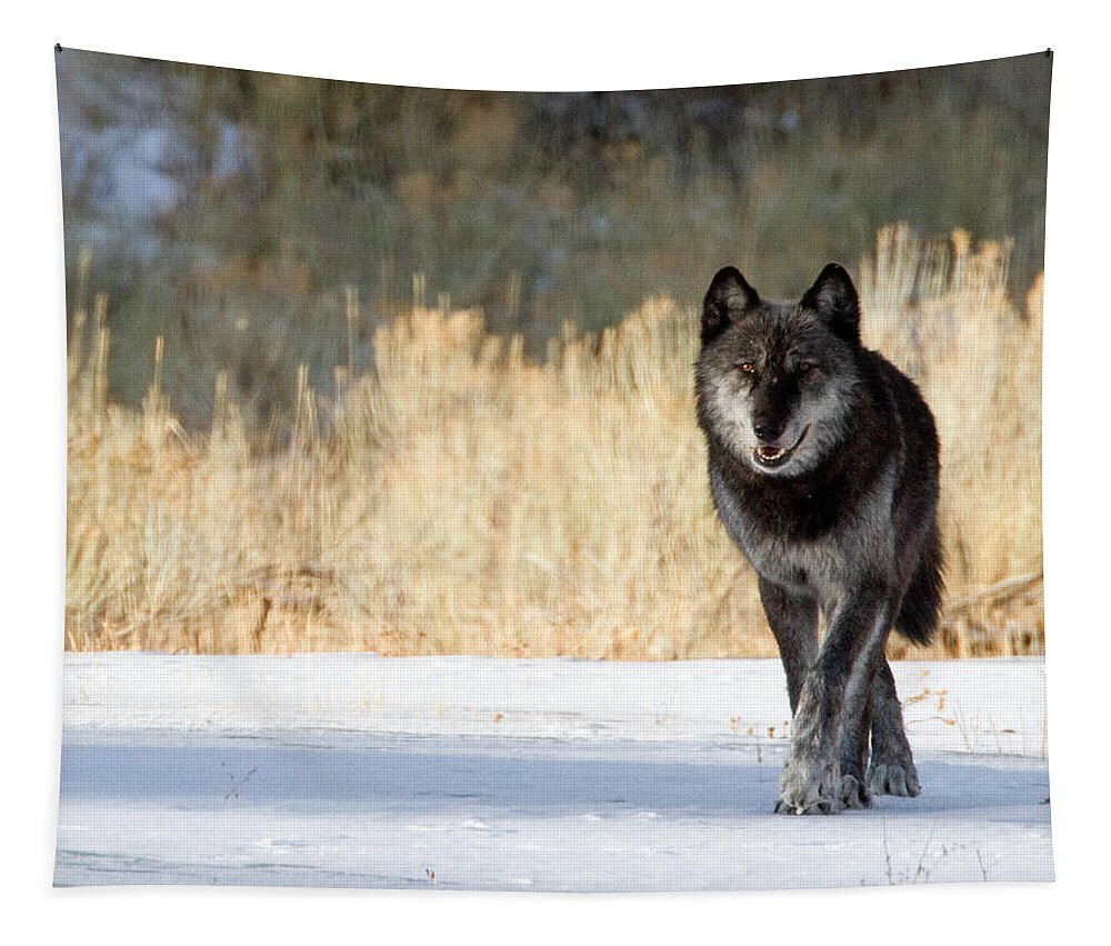Yellowstone National Park Tapestry featuring the photograph The Old Man by Max Waugh