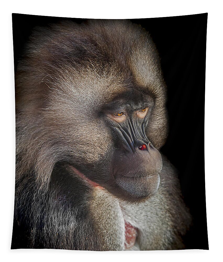 Gelada Tapestry featuring the photograph The old Warrior by Paul Neville
