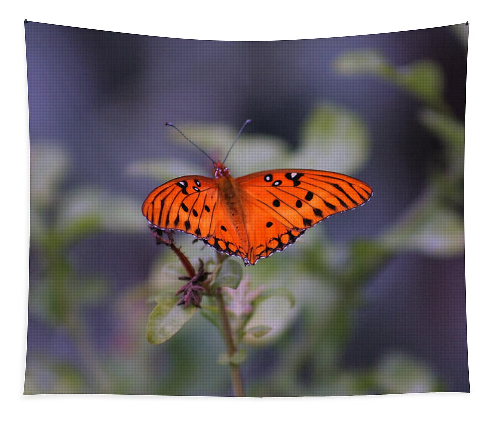 Butterfly Tapestry featuring the photograph The orange wings by Lily K