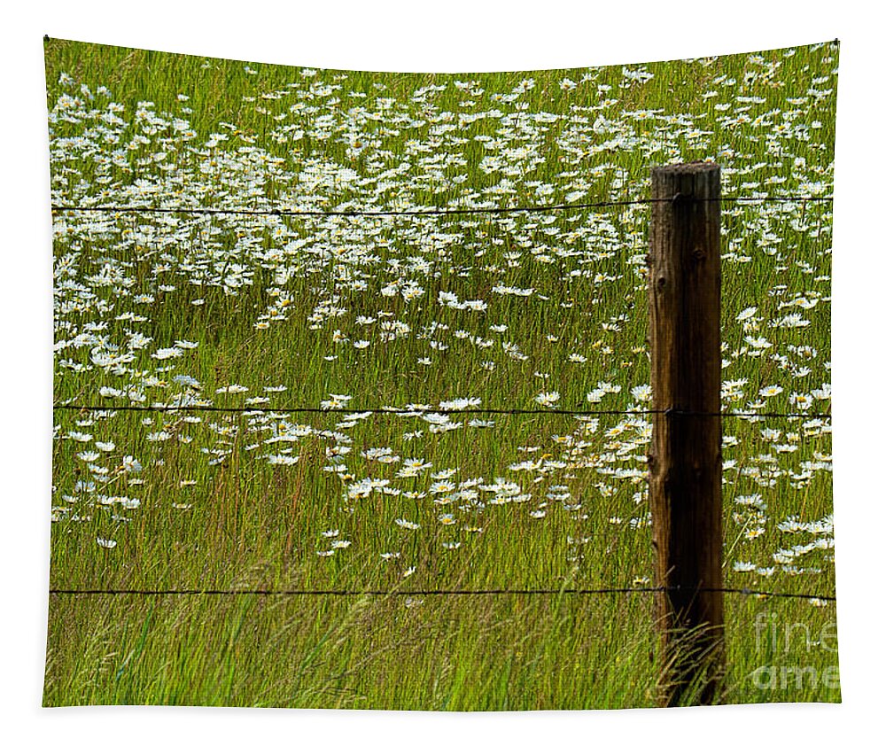 Flowers Tapestry featuring the photograph The Other Side by Jim Garrison