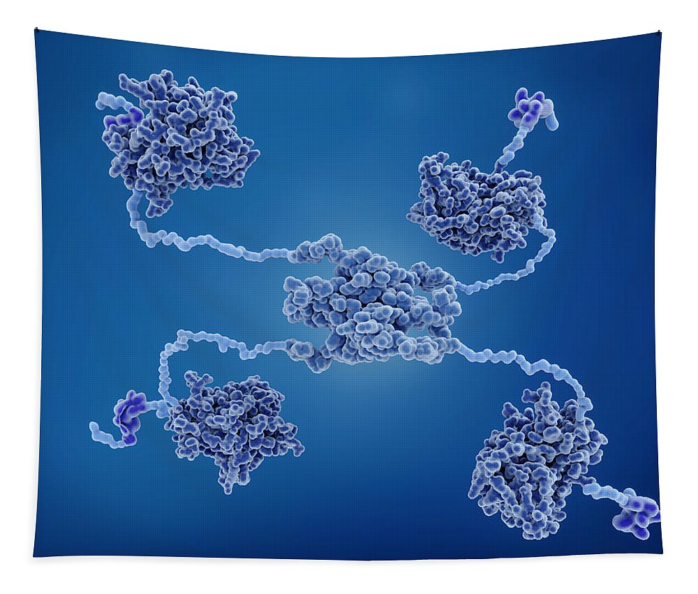 3d Artwork Tapestry featuring the photograph The P53 Tumor Suppressor Protein by Juan Gaertner