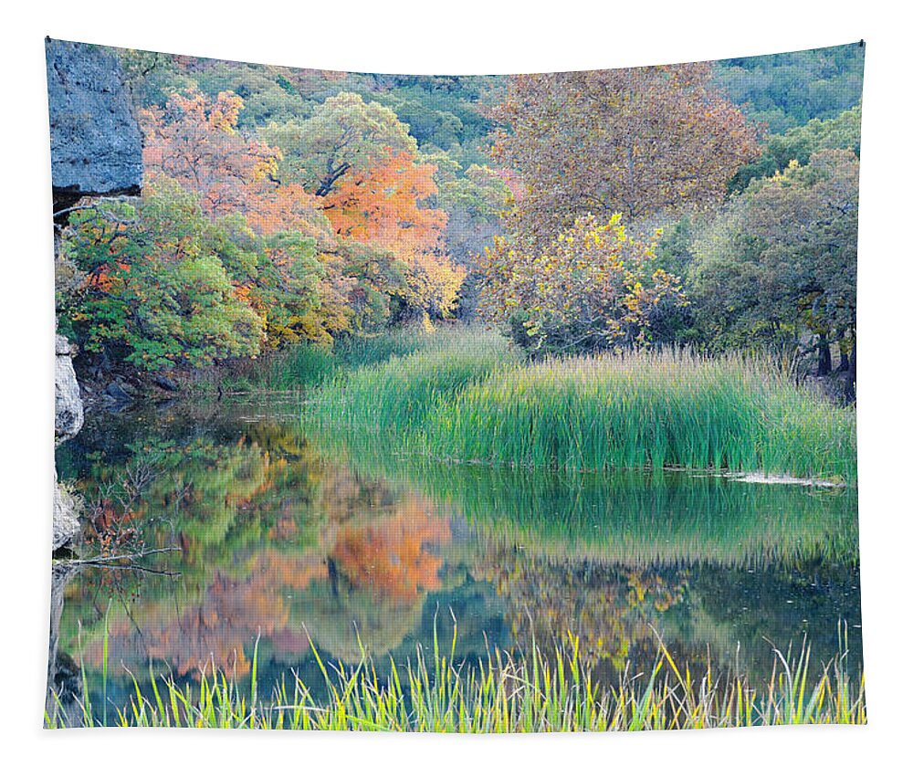 Lost Maples Tapestry featuring the photograph The Pond at Lost Maples State Natural Area - Texas Hill Country by Silvio Ligutti