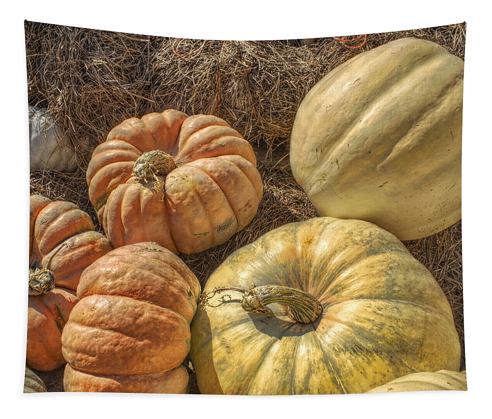 Pumpkin Tapestry featuring the photograph The Pumpkins of Autumn by Jason Politte