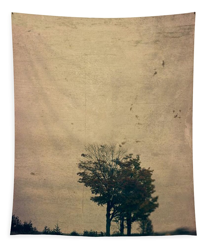 Trees Tapestry featuring the photograph The Rainy day Northern Michigan by Marysue Ryan