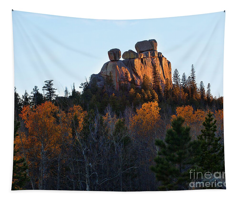 Autumn Colors Tapestry featuring the photograph The Red Head by Jim Garrison