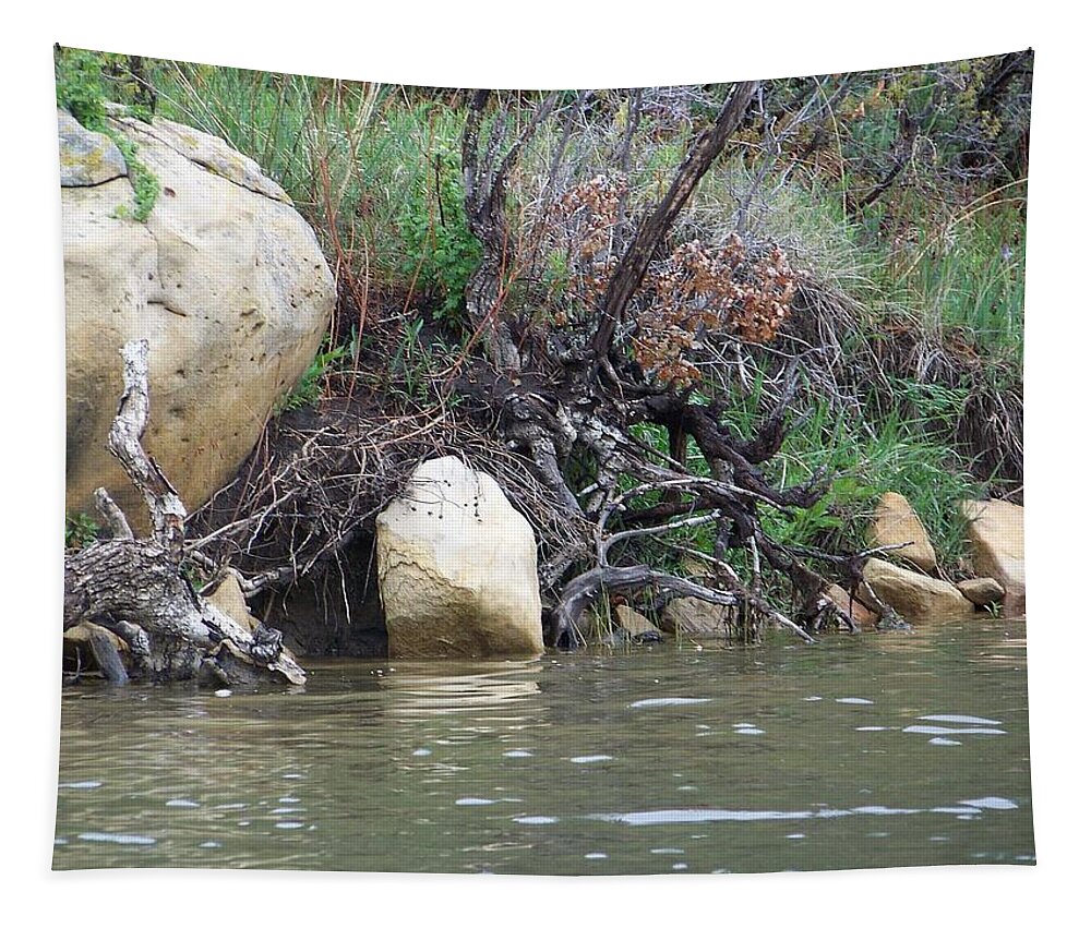 Rocks Tapestry featuring the photograph The River's Edge by Sheri Keith