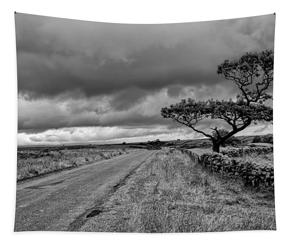 Landscape Tapestry featuring the photograph The road ahead - mono panoramic by Steev Stamford