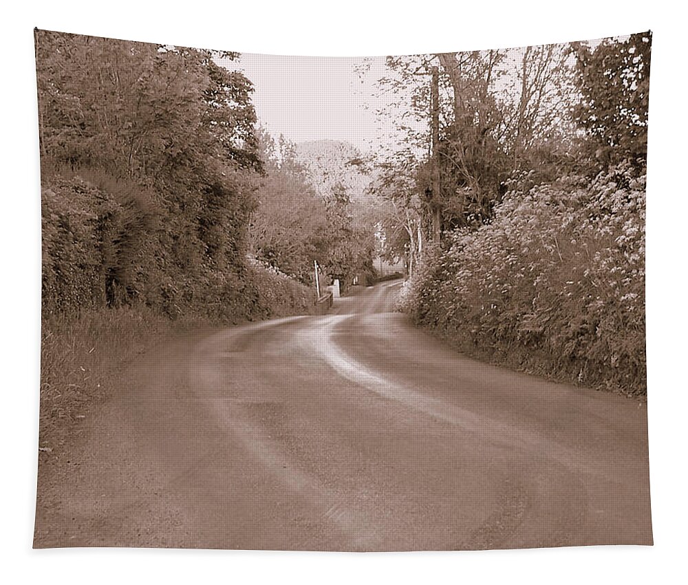 Road Tapestry featuring the photograph The Road Most Taken by Lisa Blake