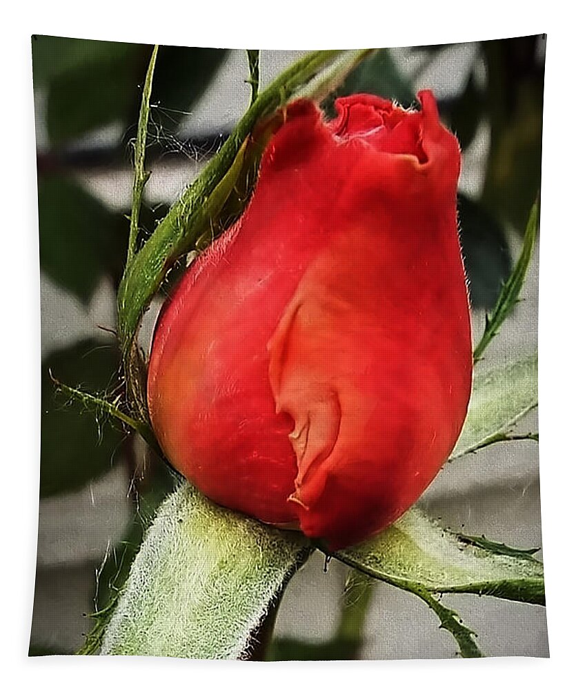 Rose Tapestry featuring the digital art The Rose bud by Cathy Anderson