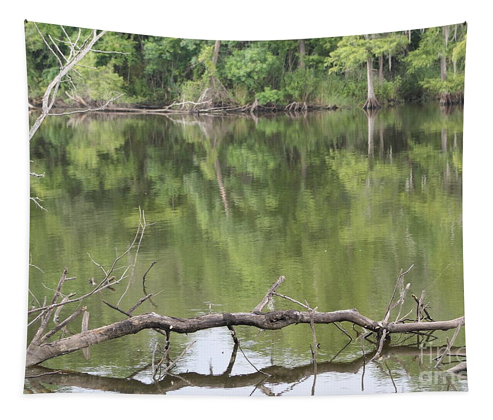 Lake Tapestry featuring the photograph The Sanctuary 2 by Michelle Powell