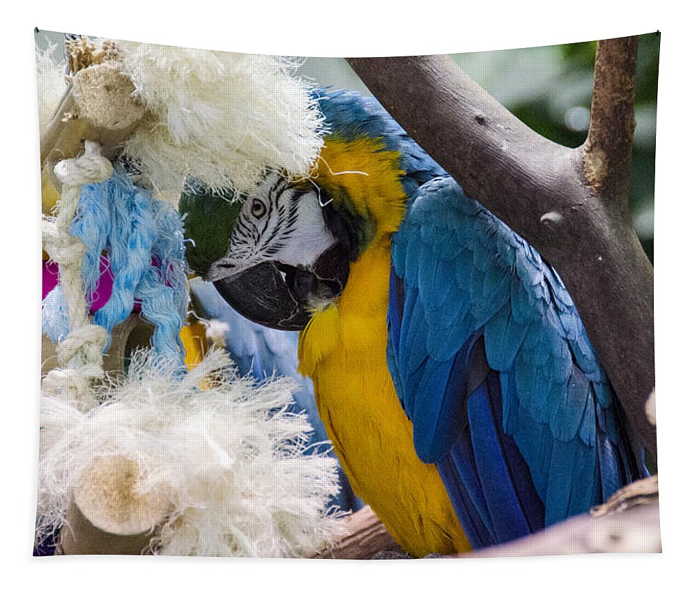 Macaw Tapestry featuring the digital art The Shy One by Pravine Chester