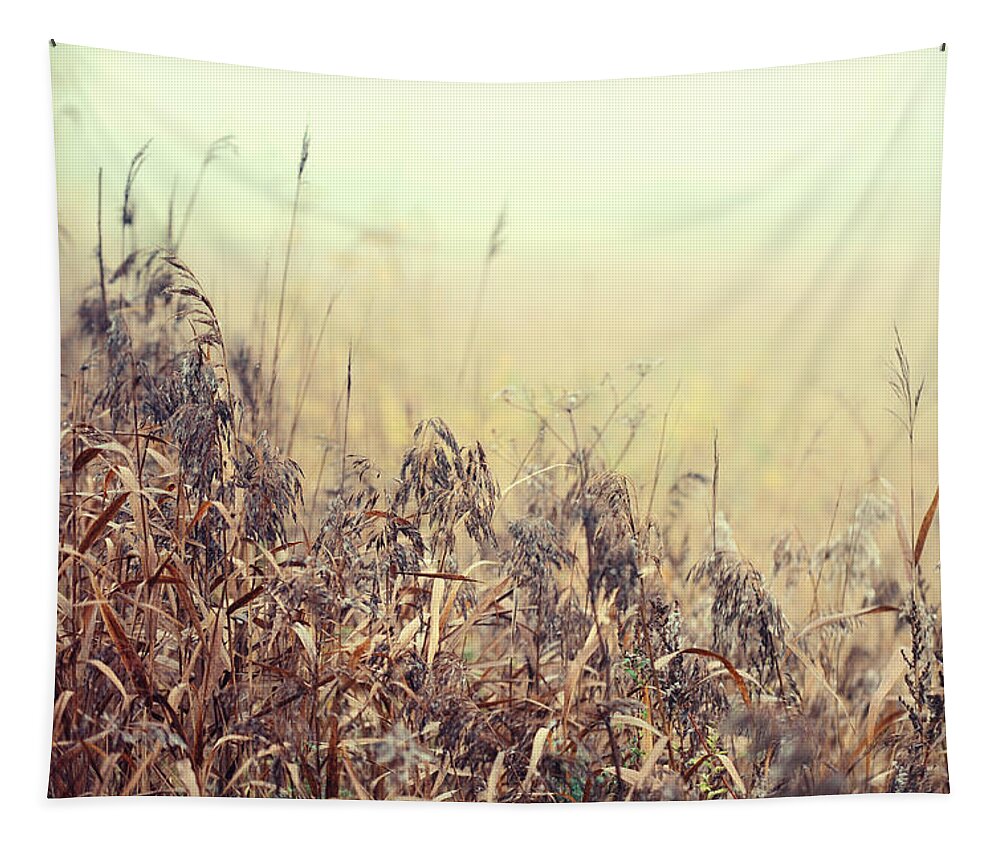 Grass Tapestry featuring the photograph The Song of Autumnal Grass by Jenny Rainbow
