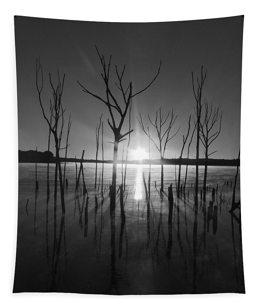 Manasquan Reservoir Tapestry featuring the photograph The Star Arrives by Raymond Salani III